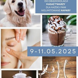 Hotel Konradowka Wellness & Spa - 300 Metrow Do Centrum